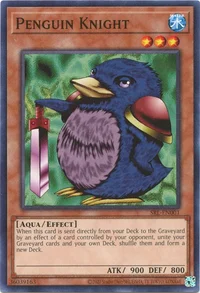 Cavaliere Pinguino