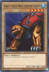 Tartaruga Mangia-Fiamme