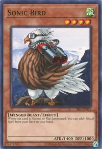 Uccello Sonico