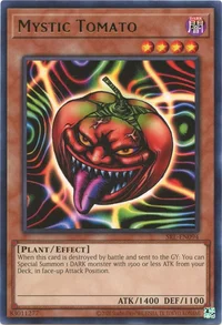 Tomate Mystique