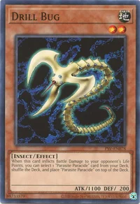 Insecte Perçeur