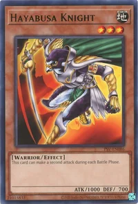 Hayabusa-Ritter