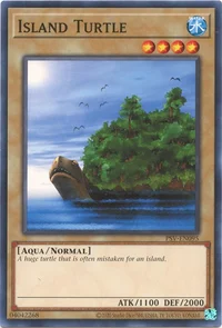 Tortue Île