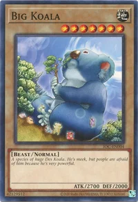 Großer Koala