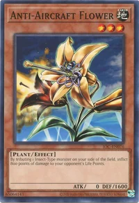 Anti-Flugzeug Blume