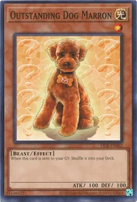 Marron, außergewöhnlicher Hund
