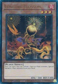 Lonefire Blossom (PUR)