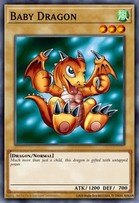 Bébé Dragon