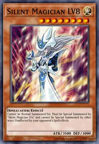 Magicien Silencieux LV8