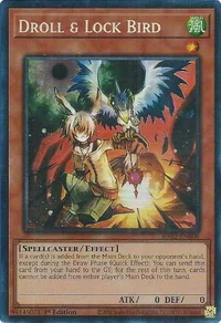 Kauz & Schlossvogel