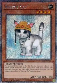 Gato de Socorro