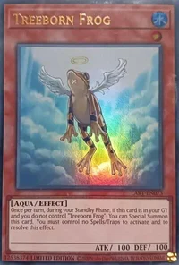 Treeborn Frog