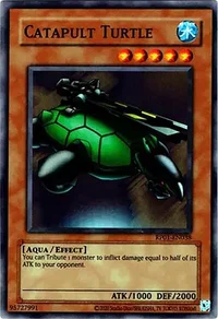 Katapult-Schildkröte