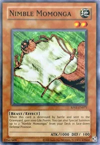 Flinker Momonga