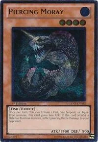 Piercing Moray (UTR)