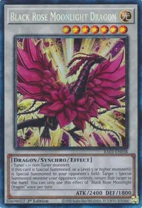 Black Rose Moonlight Dragon (PCR)