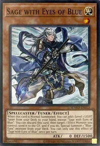 Saggio con gli Occhi di Blu