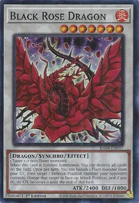 Black Rose Dragon