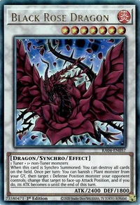 Black Rose Dragon (PUR)
