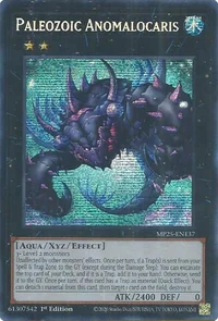 Paleozoic Anomalocaris