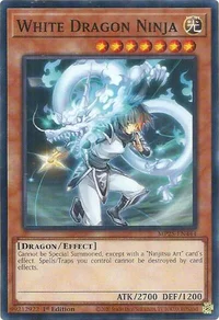 White Dragon Ninja