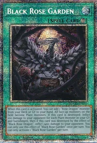 Black Rose Garden (Starlight Rare)