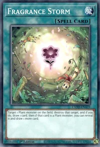 Fragrance Storm