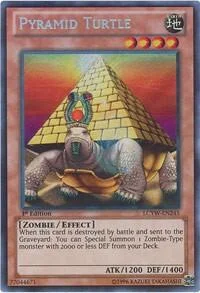 Pyramid Turtle