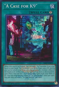 "A Case for K9"