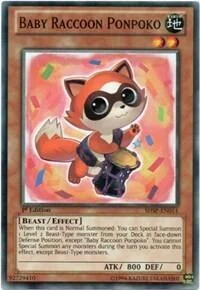 Baby Raccoon Ponpoko