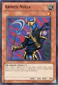 Bewaffneter Ninja