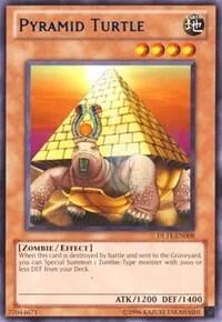 Pyramid Turtle (Blue)