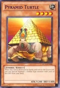 Pyramidenschildkröte