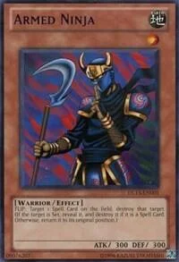 Bewaffneter Ninja
