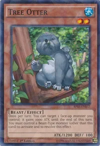 Tree Otter (Shatterfoil)