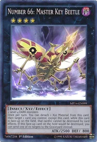 Number 66: Master Key Beetle