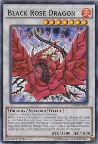 Black Rose Dragon