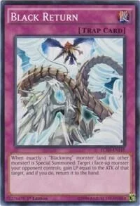 Black Return