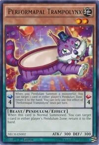 Performapal Trampolynx