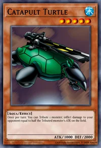 Katapult-Schildkröte