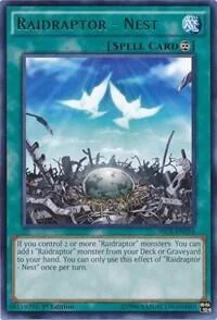 Raidraptor - Nest