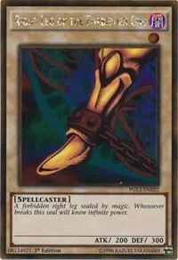 Right Leg of the Forbidden One
